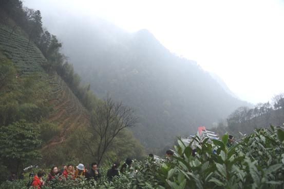 1470729493102024.jpg 探尋生長之源2.jpg