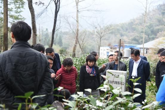 首個高山茶葉物聯(lián)網應用系統(tǒng)在黃山誕生jpg 首個高山茶葉物聯(lián)網應用系統(tǒng)在黃山誕生jpg