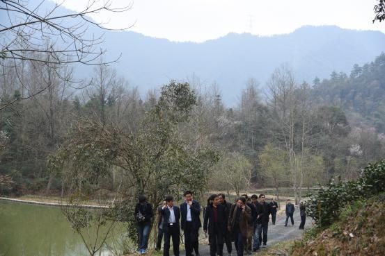 首個高山茶葉物聯(lián)網應用系統(tǒng)在黃山誕生.jpg 首個高山茶葉物聯(lián)網應用系統(tǒng)在黃山誕生.jpg