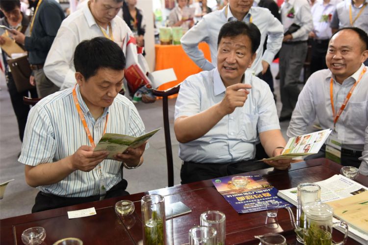 百年榮耀中國(guó)茶六百里猴魁.jpg 百年榮耀中國(guó)茶六百里猴魁.jpg