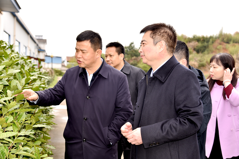 1616054098423315.jpg DSC_0573_副本.jpg