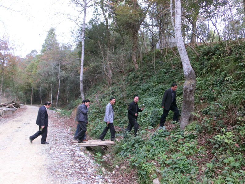 張開南視察桃源基地.jpg 張開南視察桃源基地.jpg